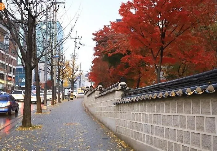 소담 강남 * ソウル特別市